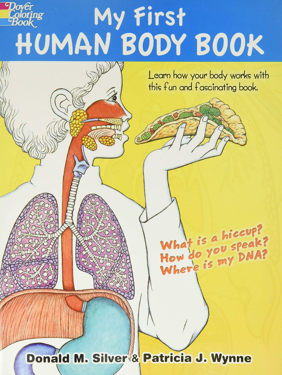 My First Human Body Book – ToySanta